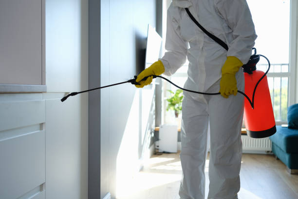 Best Post-Remediation Services in Foreman, AR